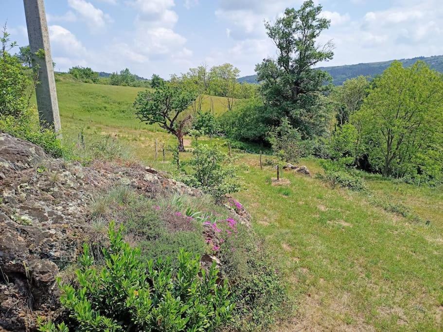 Ecrin De Verdure En Ardeche Verte Colombier-le-Vieux Eksteriør billede